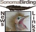 sonoma-birding-news